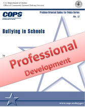 professional development